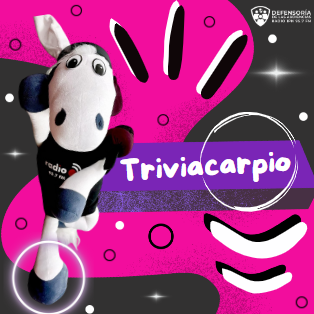 Defensoría de las Audiencias Radio IPN 95.7 FM tweet media