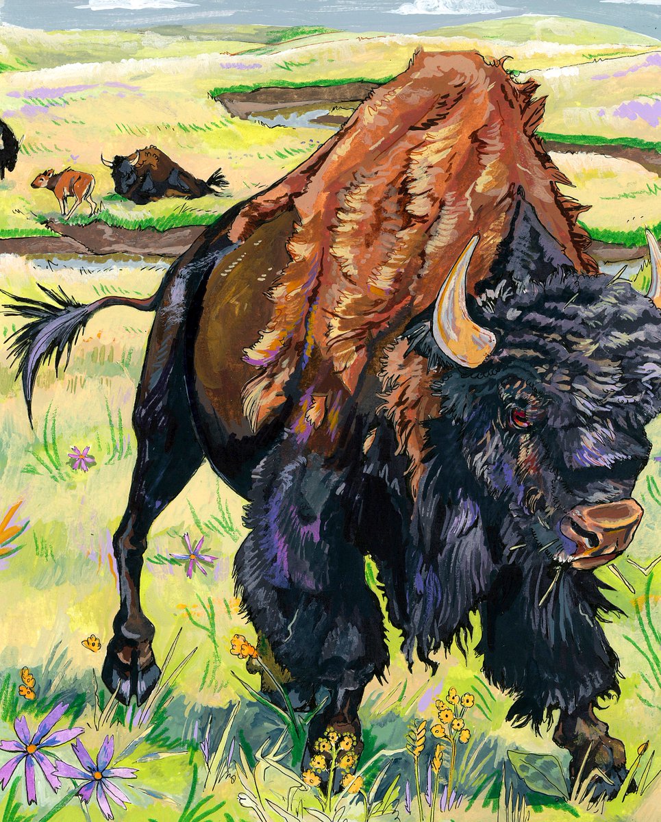 My first 4 paintings of the new wildlife series!! Which one is your favorite so far?