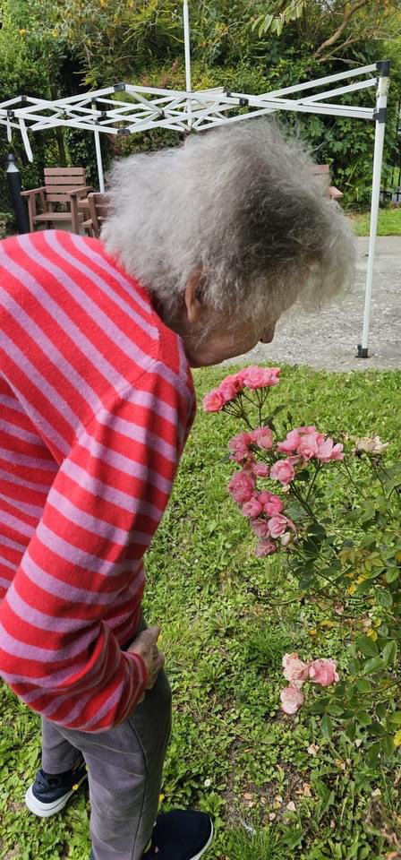 AugustaCourt's tweet photo. @AugustaCourt  While Des was working in the garden and watering💧 plants🪴,Elizabeth enjoyed admiring them in this gorgeous sunshine 🌞#flower #FLOWERGARDEN #SummerVibes2024 #TeamWorkMakesTheDreamWork @AnchorLaterLife https://t.co/G2vVoCur6I
