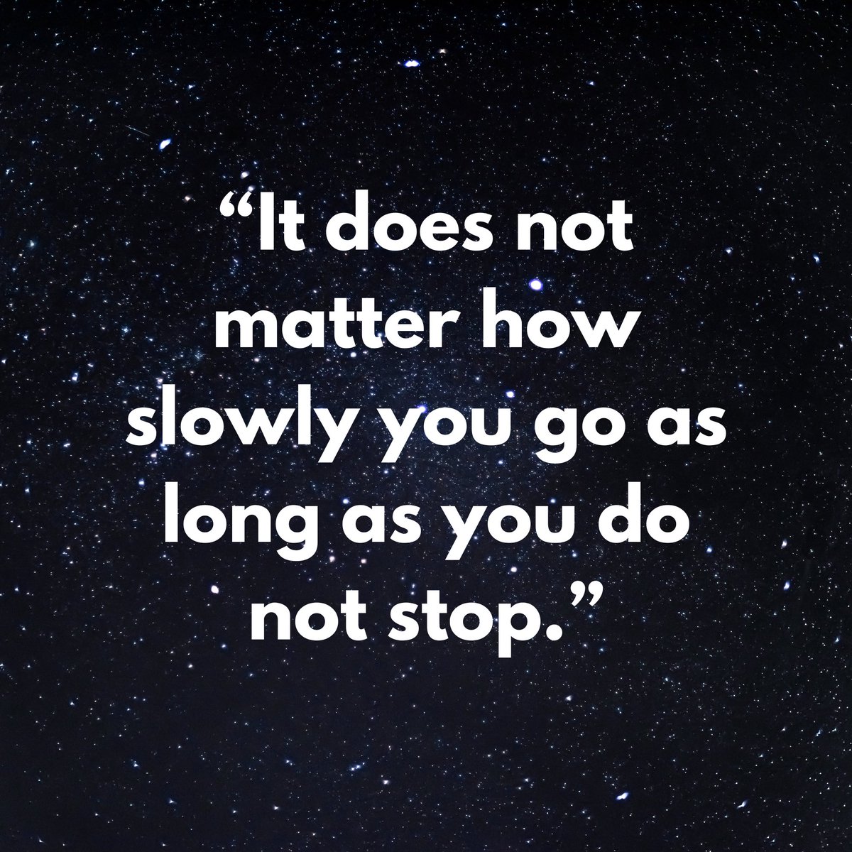 NeilJacobs's tweet image. ✨