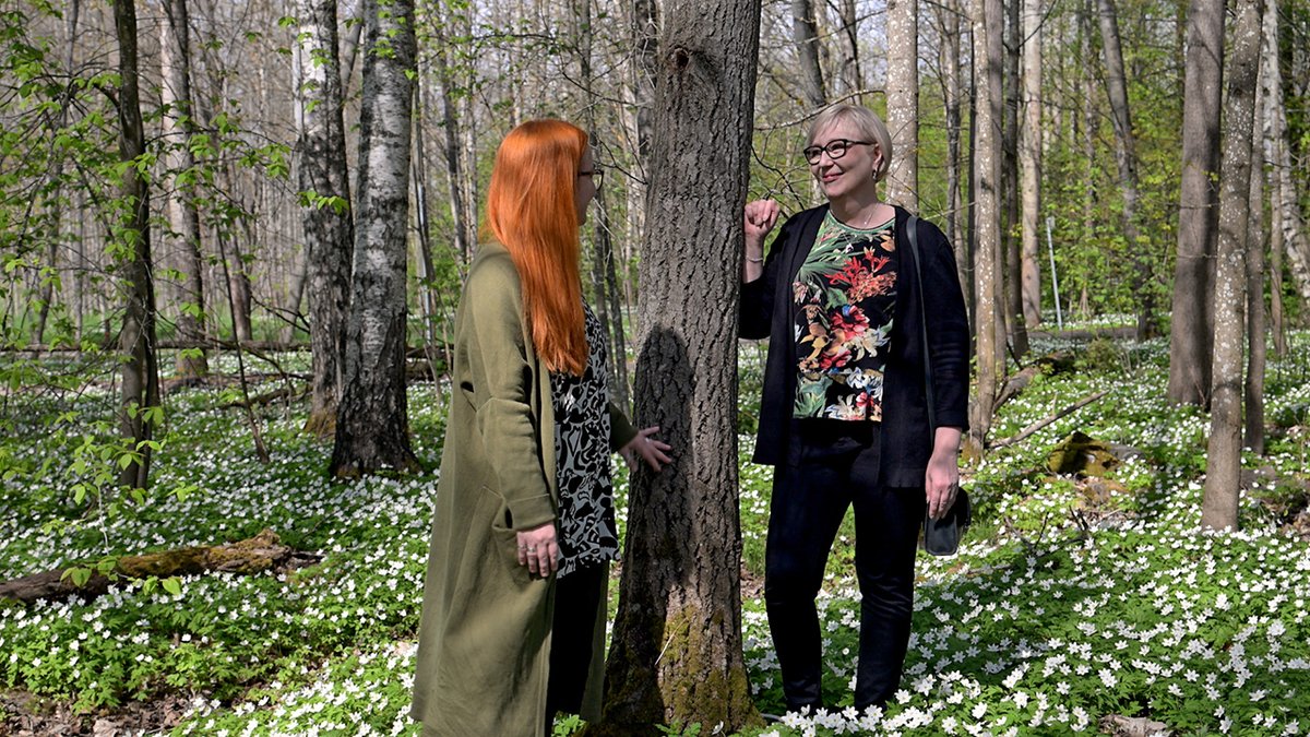 Metsämiesten Säätiön rahoittama ja Tapion ylläpitämä Metsahyvinvointi.fi-sivusto on avuksi työhyvinvoinnista kiinnostuneille eli kaikille. Aineistopankkiin on koottu työvälineitä ja hyötytietoa oman hyvinvoinnin ja työyhteisöjen kehittämiseksi. Katso video
youtu.be/9llrMMDCL0o