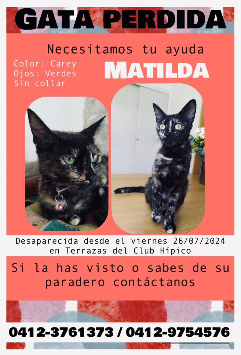 Se busca a Matilda, Terrazas del Club Hípico Baruta Gran Caracas
