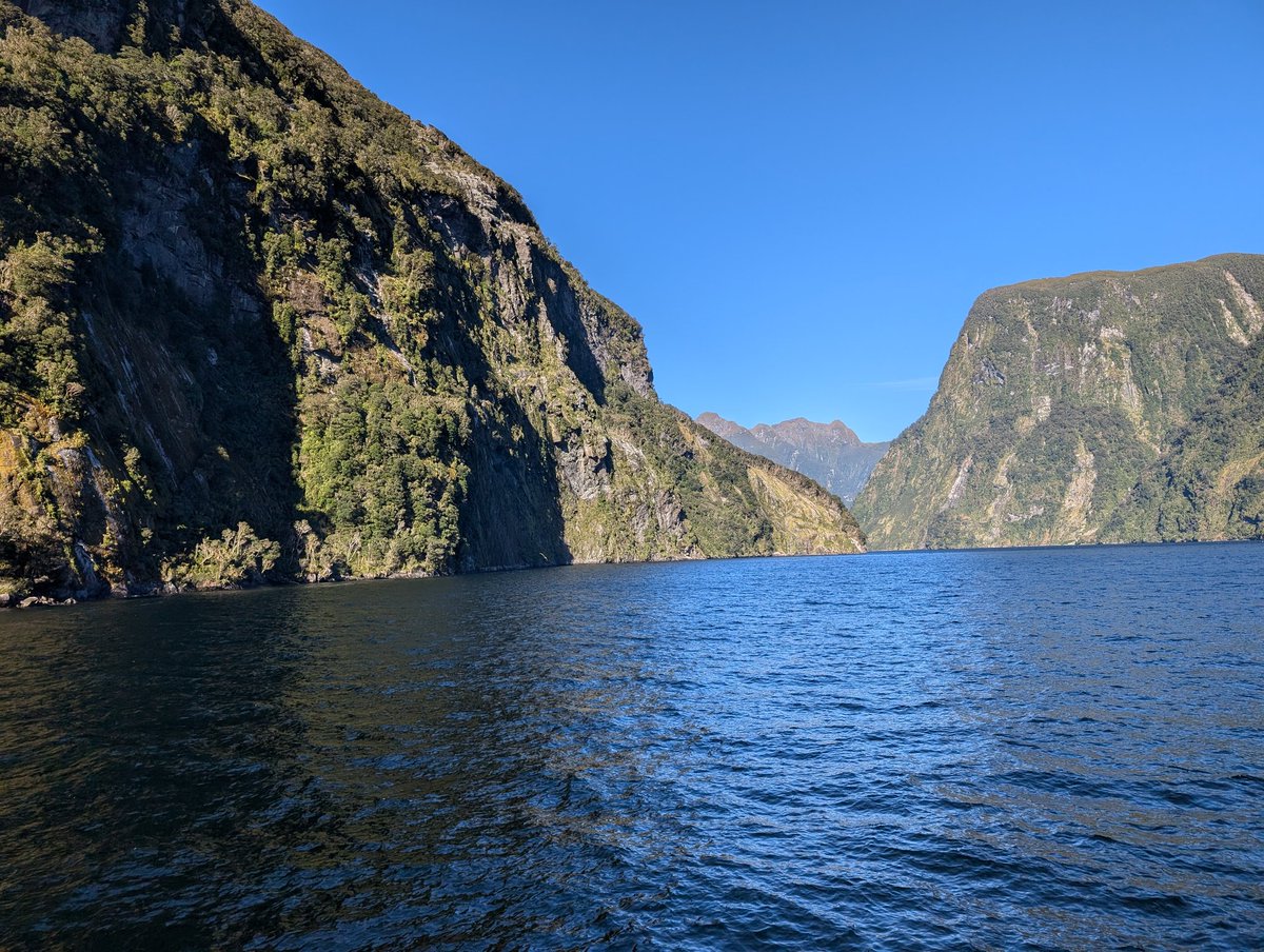 Mr. I. Jones tweet media