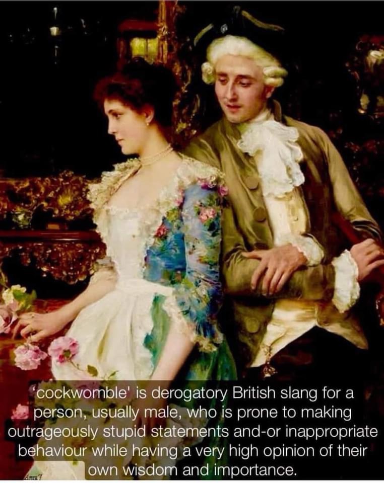 Meg Kuhn-Ferraro tweet media