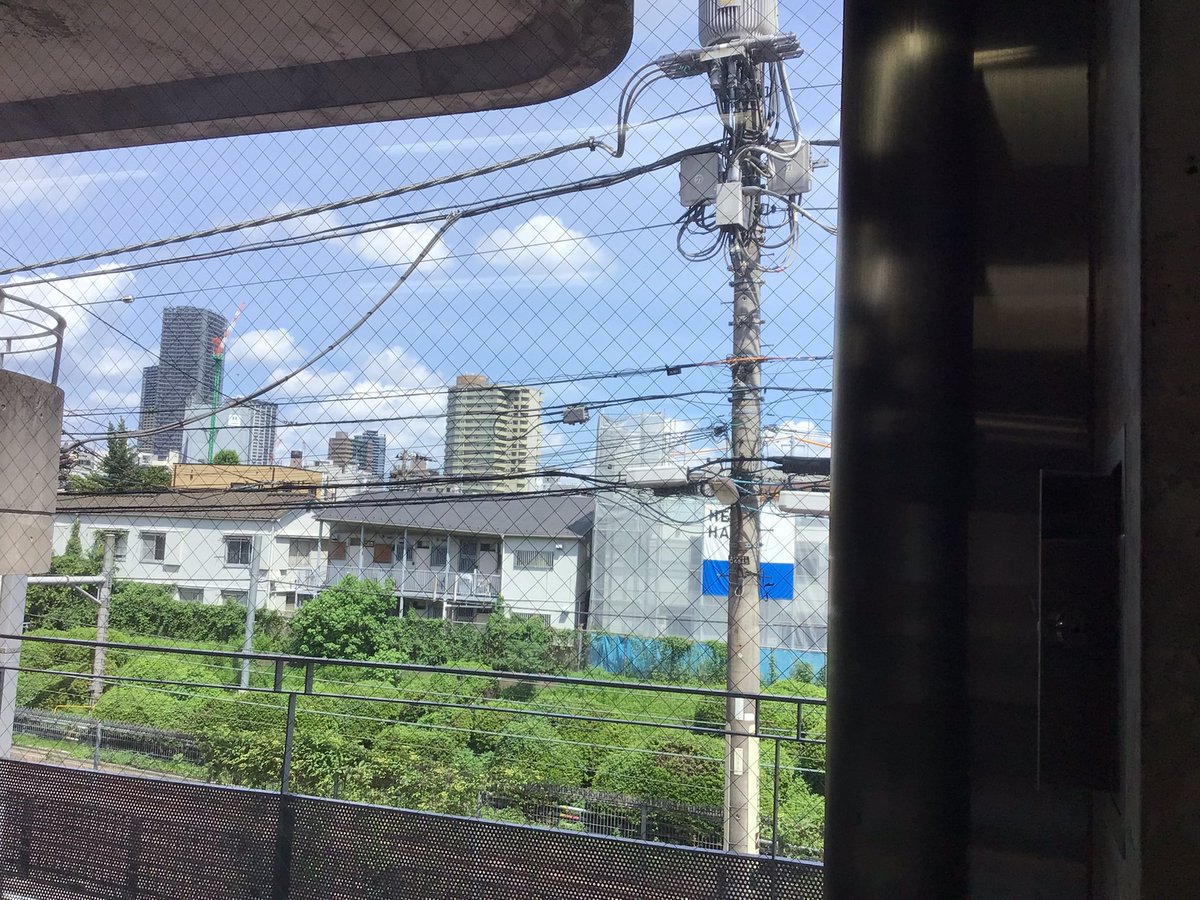 dobazoukun's tweet photo. みんな元気ぱお？すいどーばたでは夏季講習が始まったぱおん🌴🌊🍍
陽の光差すアトリエで暑さに負けず頑張るパオ💪！ https://t.co/lWifJWsqUr