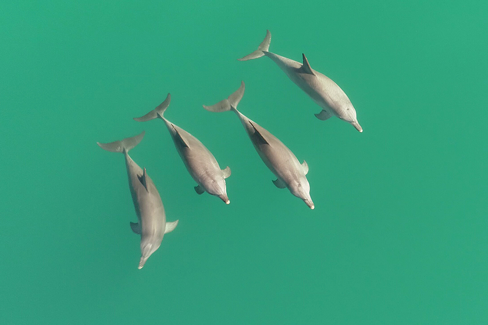 Stephanie L King @stephanielking.bsky.social tweet media