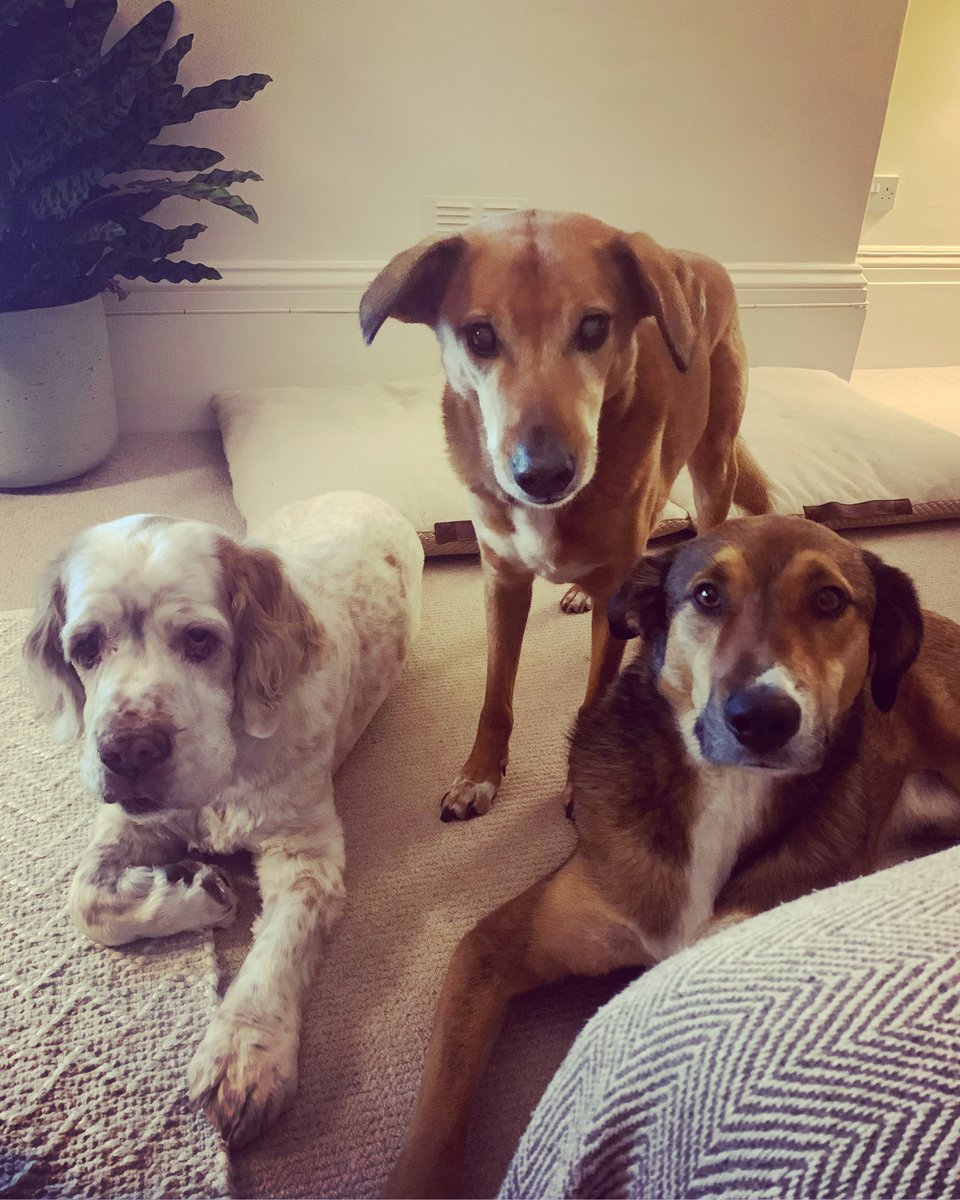 Stephanie L King @stephanielking.bsky.social tweet media