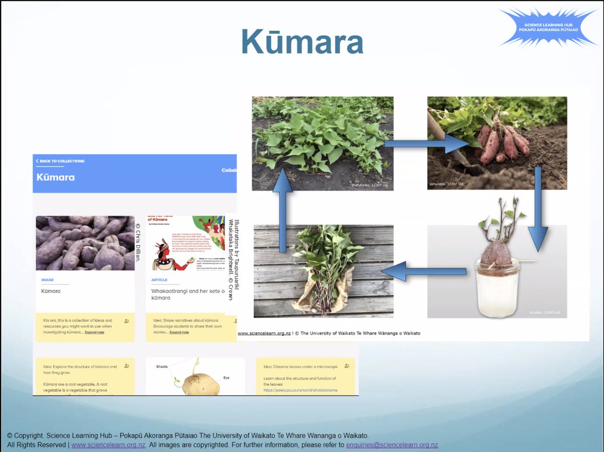 Science Learning Hub tweet media