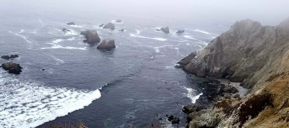 RiverstoneSaga's tweet photo. Get out. Relax. Regroup.
#nature #gooutsideandplay #westcoast #vacation #mentalhealthbreak #vettech #indieauthor https://t.co/mJU8gxpf7c