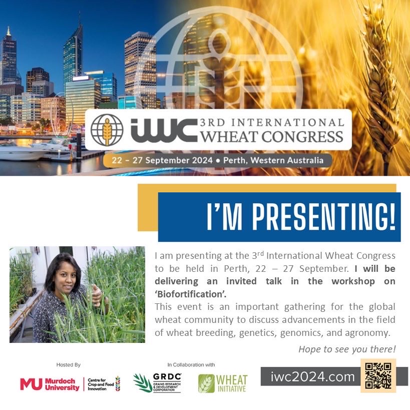 BhoiteRoopali's tweet photo. #IWC2024 ⁦@DPIRDbroadacre⁩ ⁦@CIMMYT⁩ ⁦@GRDCWest⁩ https://t.co/bLn5sAhkWw