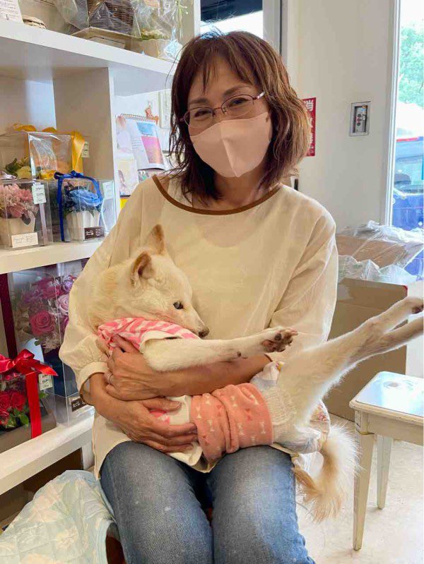 Lily chan tweet media