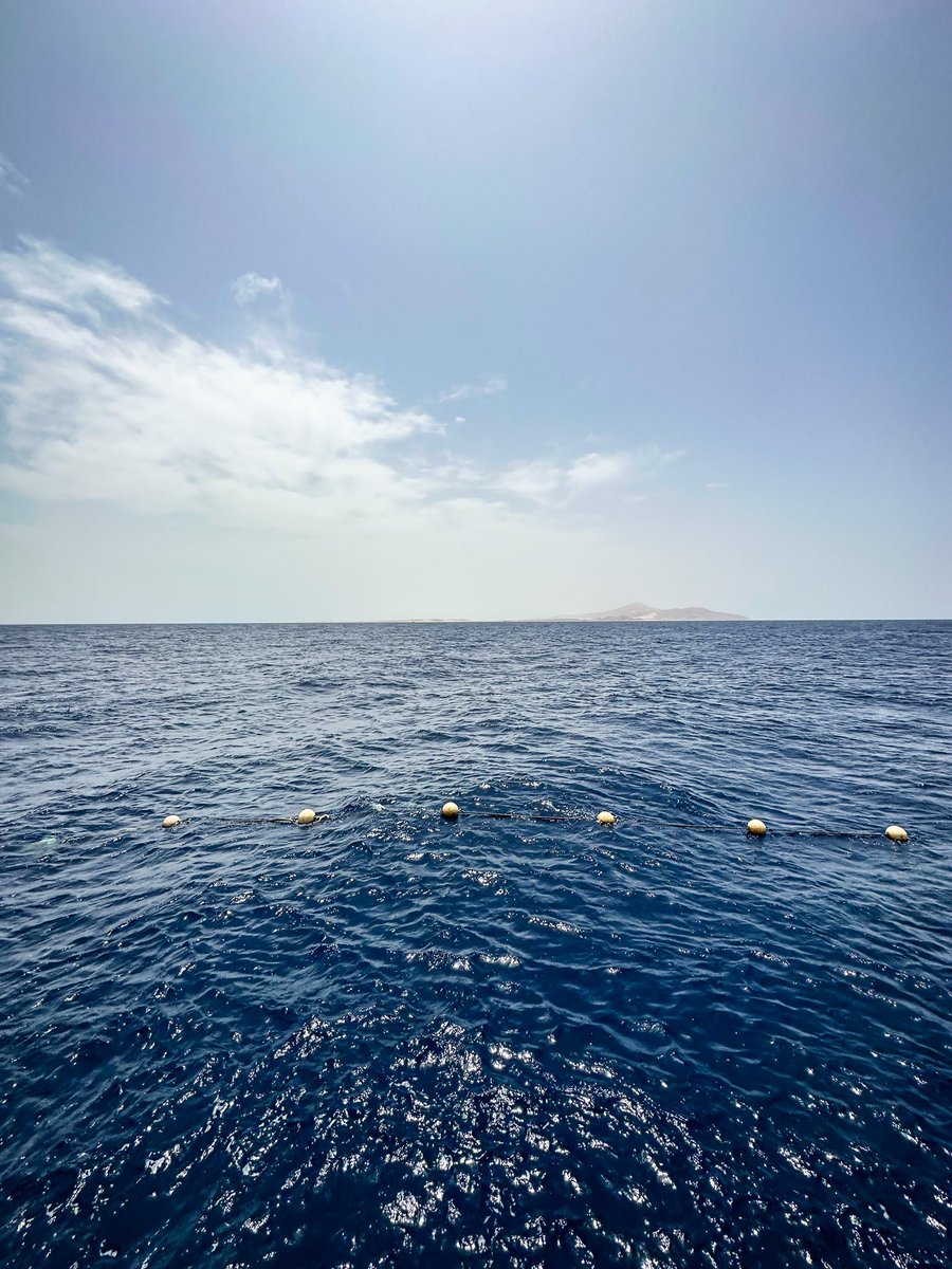 UlrichJvV's tweet image. A3. Marine Protected Areas support sustainable fisheries, boost local economies through tourism and jobs. They protect coastal communities by preserving natural barriers like coral reefs and mangroves, reducing the impact of storms and coastal erosion. #MPADay #OceanProtection