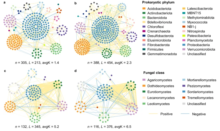 Understanding #microbial responses to #climate warming is crucial for projecting #permafrost #carbon climate feedback. The authors reveal dual microbial roles in promoting both soil carbon release and stable soil carbon accrual under #warming scenarios

nature.com/articles/s4146…