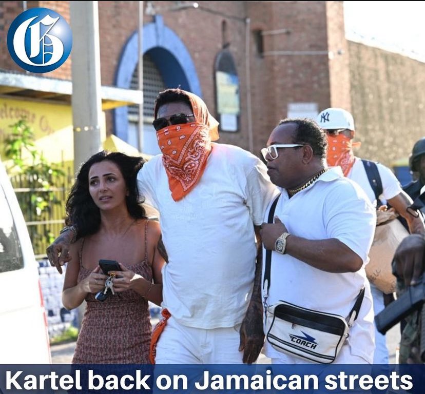 BADGYALMARIE's tweet image. 祝！Vybz Kartel出所！裁判のまとめから大騒ぎのジャマイカ映像、「なんで捕まってたの？」「なんで出てこれたの？」「この白人女性は誰？」まで徹底解説しています！！

無料記事はコチラから↓

community.camp-fire.jp/projects/33157…

明日の記事ではこの隣にいる謎の小太りのおじさんの解説もしていきます🎵