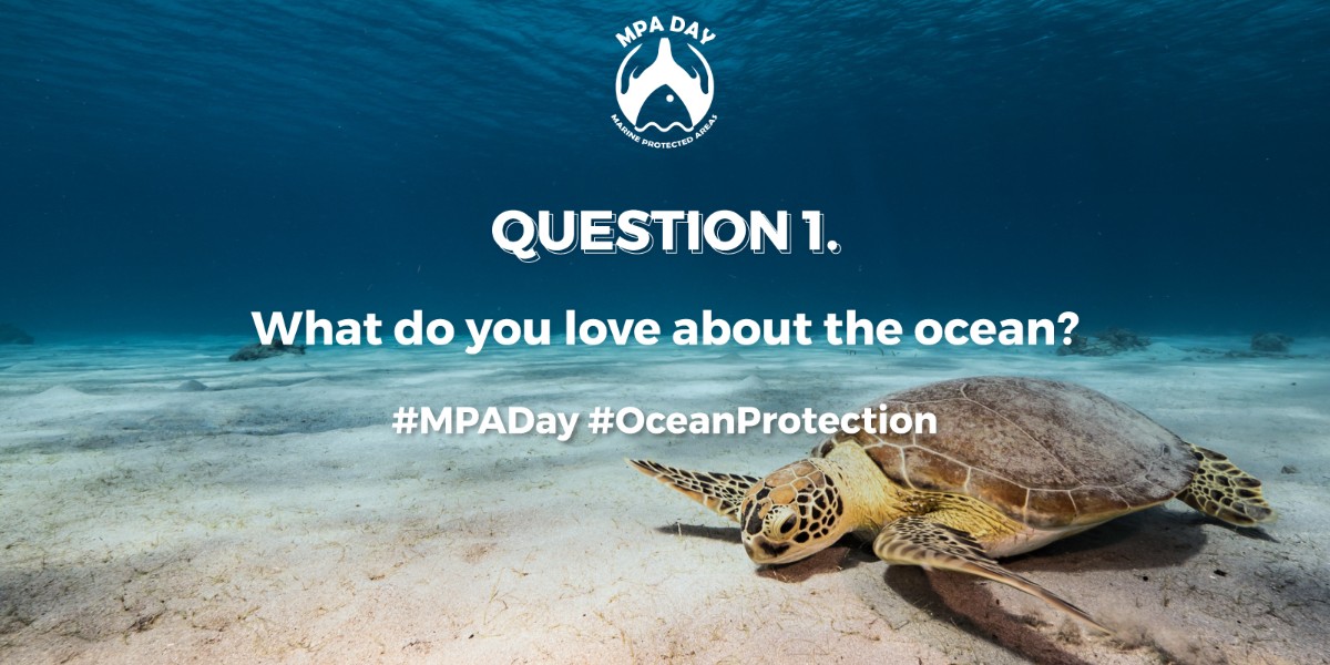 Q1: What do you love about the ocean?

#MPADay #OceanProtection #LetsTalkMPAs #MPAs