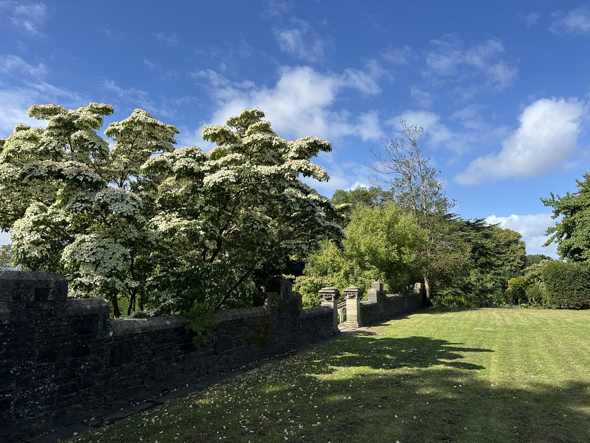 Insole Court tweet media