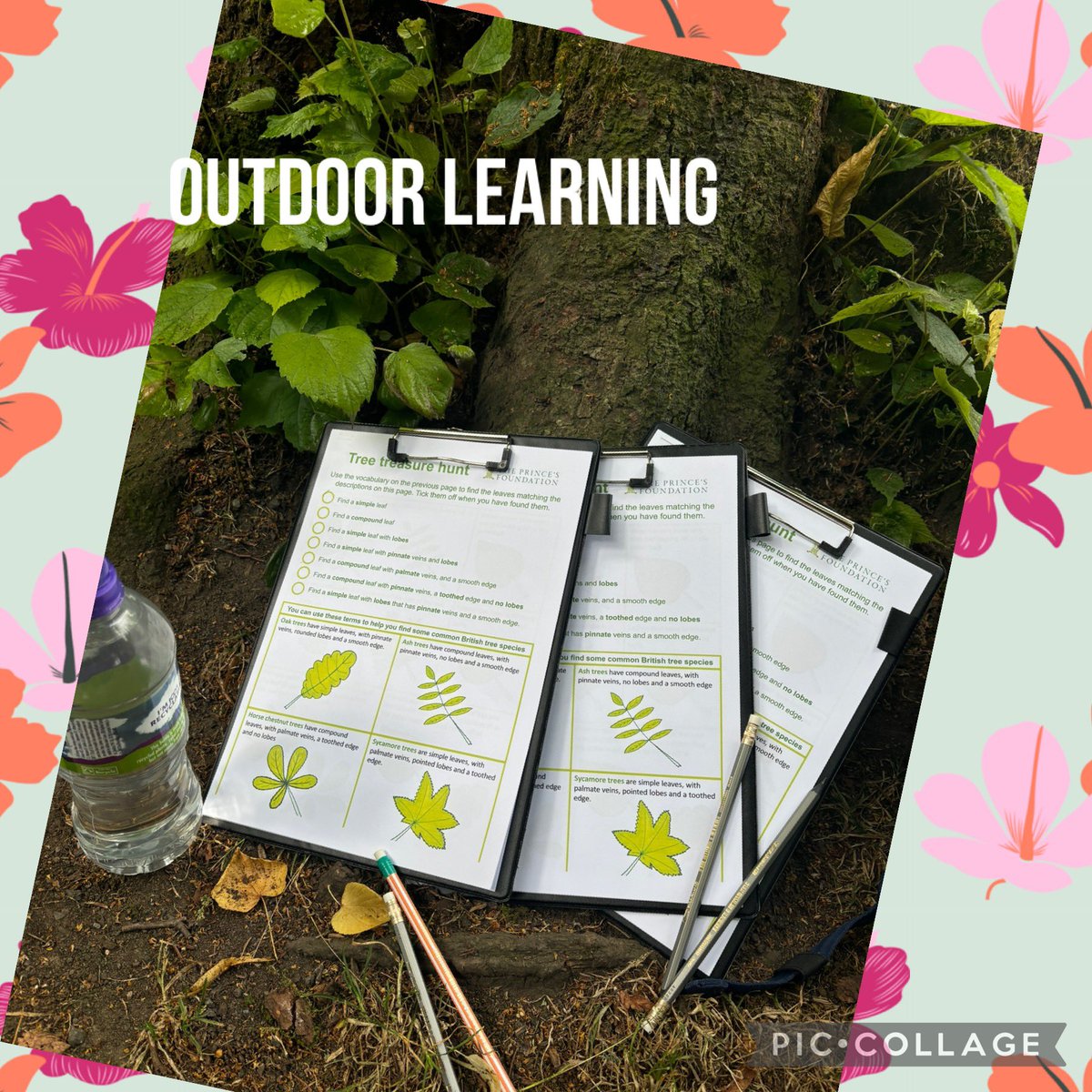 EAC Home Link Team tweet media