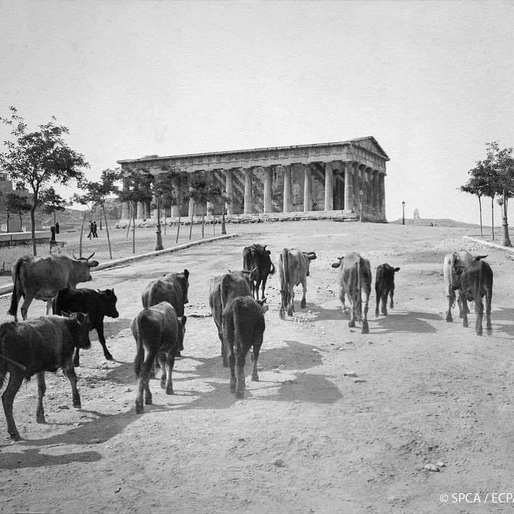 The Temple of Hephaestus, Athens, 1917.