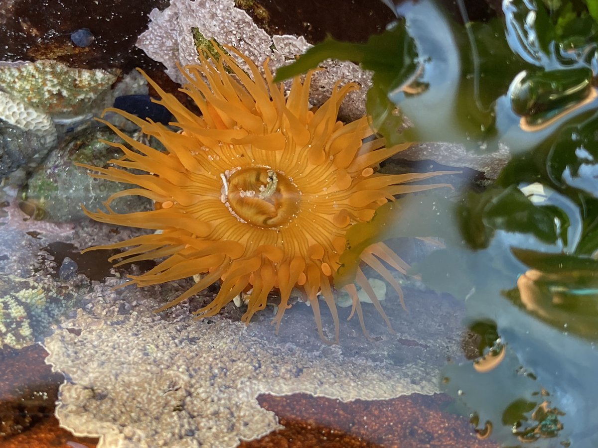 Helen Lockhart tweet media