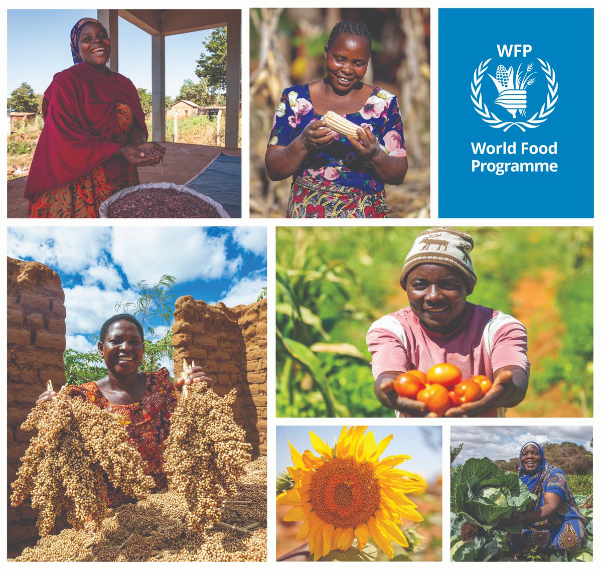 WFP is at #NaneNane2024 in Dodoma, August 1- 8. Visit us in the Agri-Financing &amp; Development Pavilion. Come &amp; learn about our work in #Tanzania with smallholder farmers and rural communities.