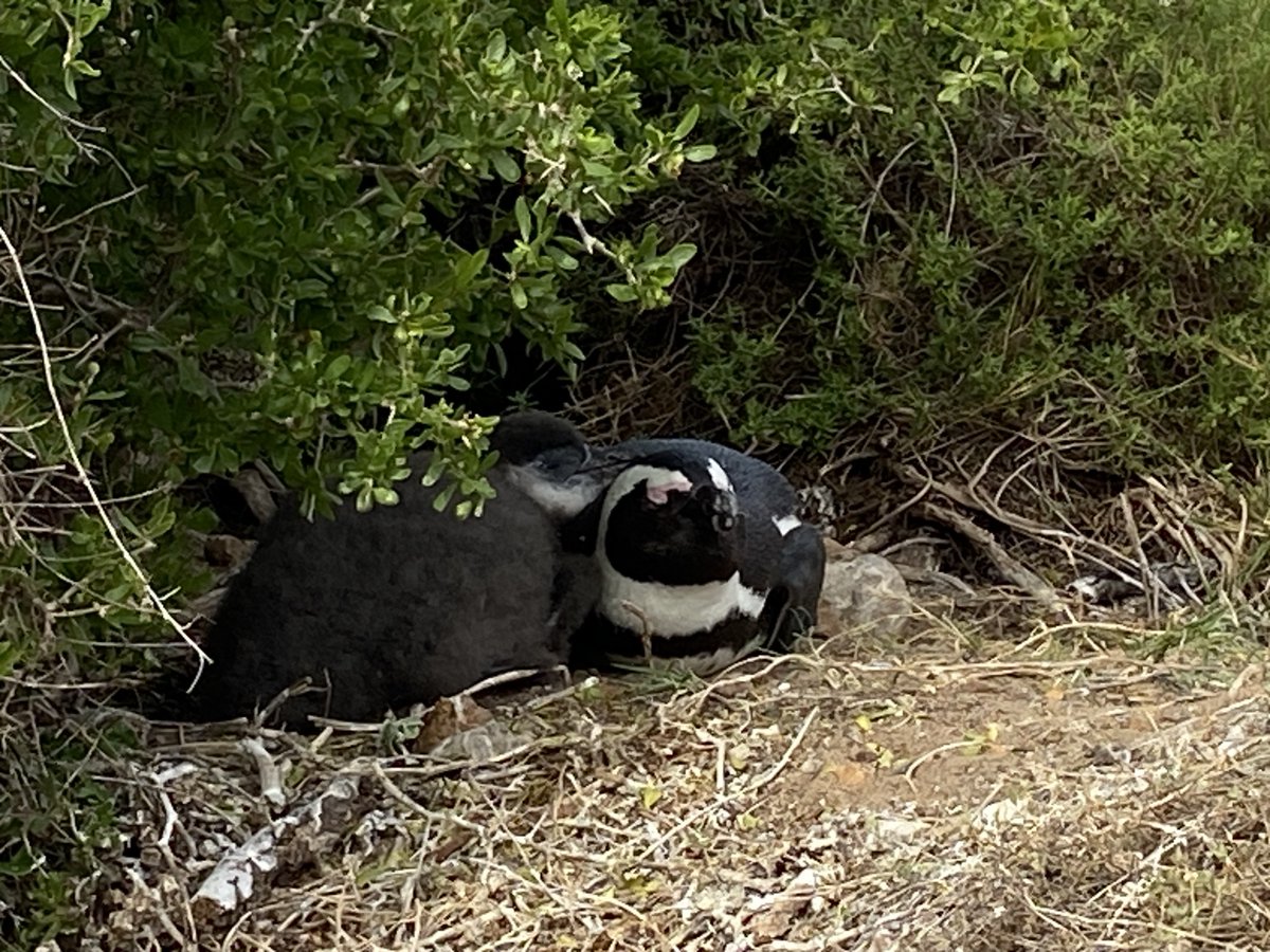 Helen Lockhart tweet media