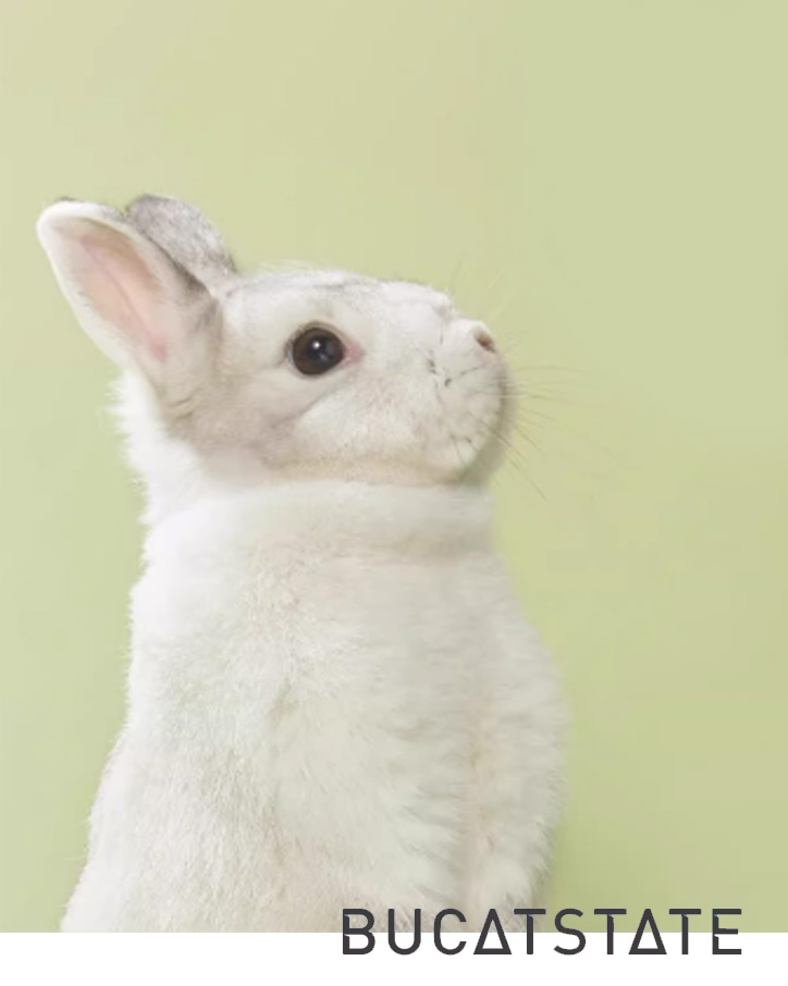 公式】BUCATSTATE-JP (@BucatstateJapan) / Posts / X