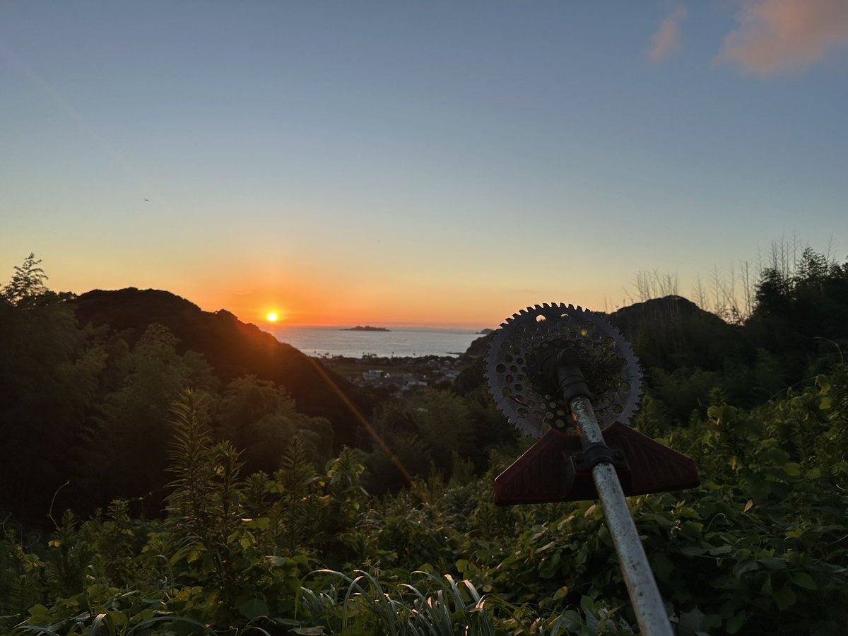 akibo4884's tweet photo. 「夕方から草刈り」 https://t.co/761Z70uAuO