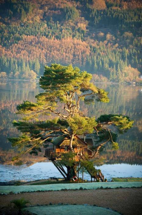 nordicwebdesign's tweet image. Tree House Lodge, Loch Goil, Scotland #TreeHouseLodge #LochGoil #Scotland owencarpenter.com