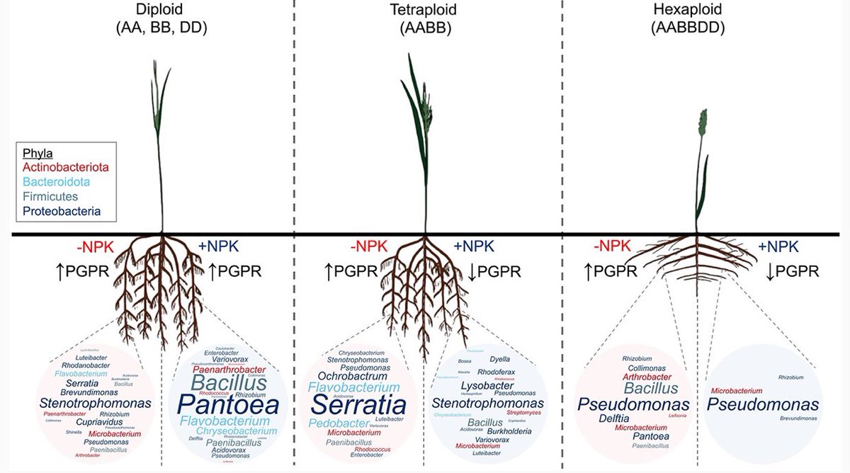 Tessa Reid tweet media
