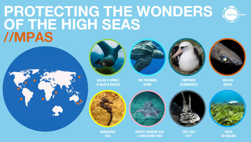 High Seas Alliance tweet media