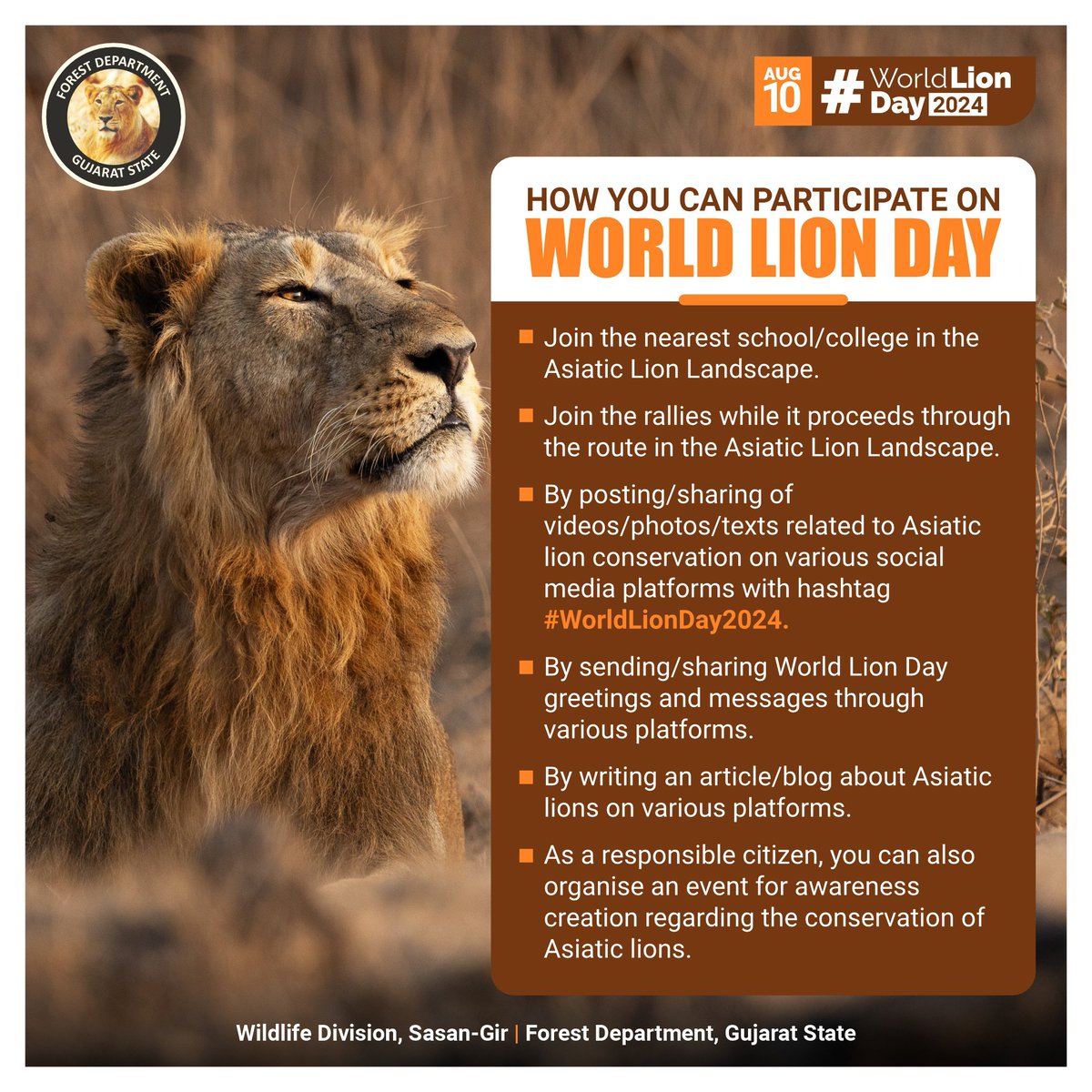 DCFSasan-Gir (@dcfsasangir) on Twitter photo 🦁 Celebrate #WorldLionDay2024 on August 10th! Let's honour these majestic creatures by raising awareness about lion conservation. Join on #WorldLionDay2024. #Gir #Wildlife #Conservation <a href="/PccfWildlife/">PCCF Wildlife</a> <a href="/CMOGuj/">CMO Gujarat</a> <a href="/moefcc/">MoEF&CC</a> <a href="/CCF_Wildlife/">CCF Wildlife Junagadh</a> 🦁 Celebrate #WorldLionDay2024 on August 10th! Let's honour these majestic creatures by raising awareness about lion conservation. Join on #WorldLionDay2024. #Gir #Wildlife #Conservation <a href="/PccfWildlife/">PCCF Wildlife</a> <a href="/CMOGuj/">CMO Gujarat</a> <a href="/moefcc/">MoEF&CC</a> <a href="/CCF_Wildlife/">CCF Wildlife Junagadh</a>