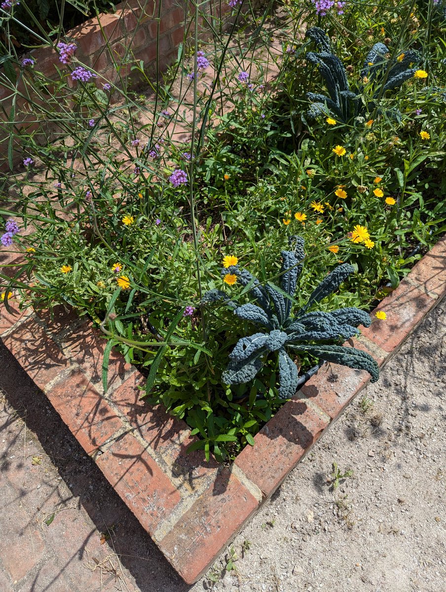 Fi Black tweet media