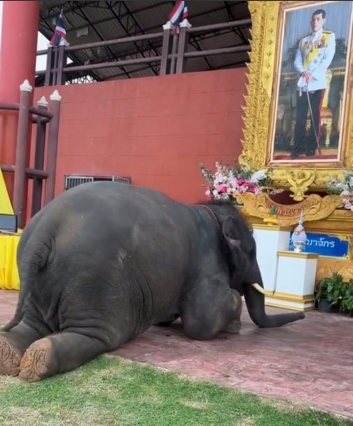 น่ารักมาก 😍😍😍😍