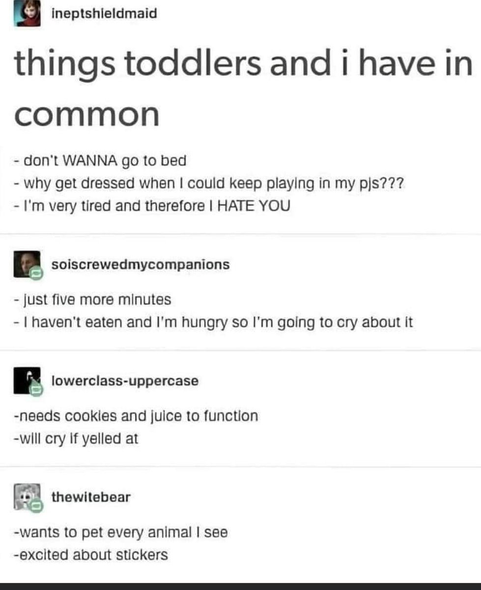 ADHD Memes tweet media