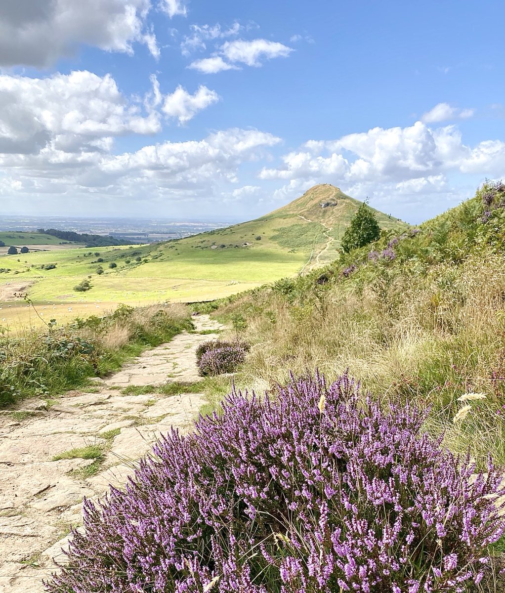 NickyJohnsonNY's tweet photo. Wishing you a happy new month of August from Roseberry Topping, North Yorkshire Yorkshire 😊 https://t.co/SLYcH6Q8hL
