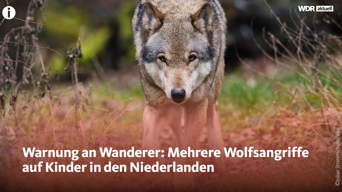 WDR aktuell tweet media