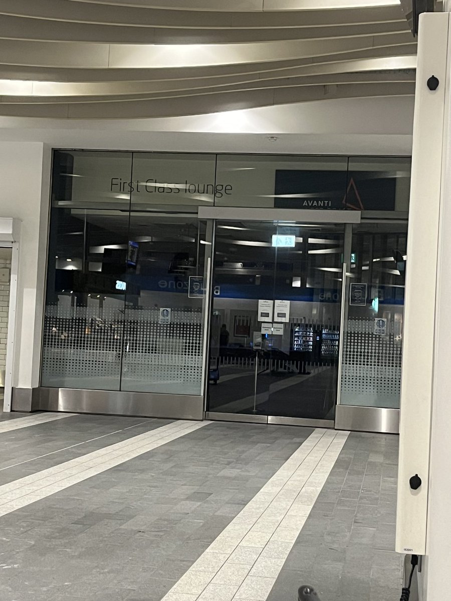 Dani Saveker tweet media