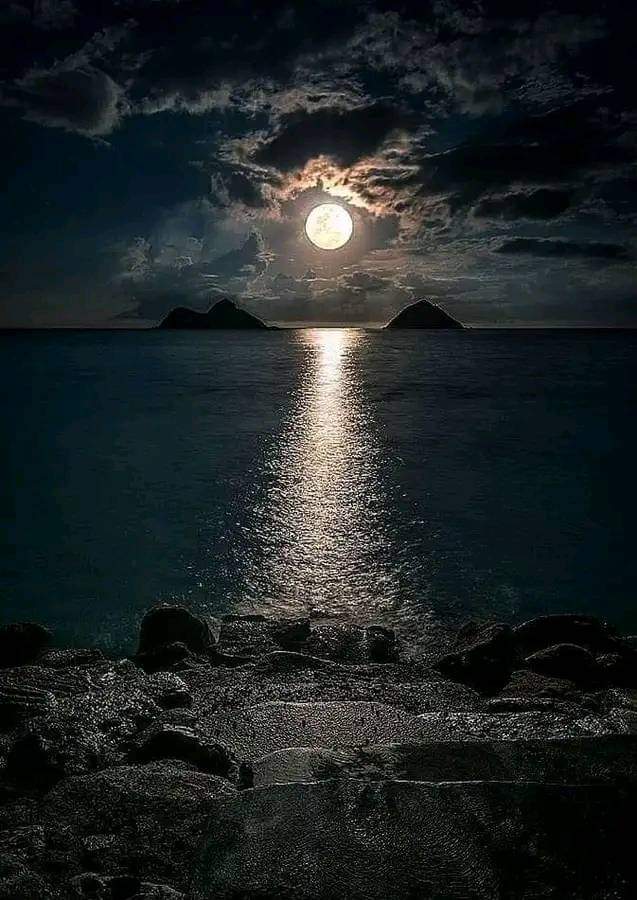 aadii183's tweet photo. چاند ثابت کرتا ہے کہ کچھ چیزے 
فاصلے پر ہی اچھی لگتی ہیں۔......🌜
_______🥀🖤 https://t.co/EinwA3p7ZP