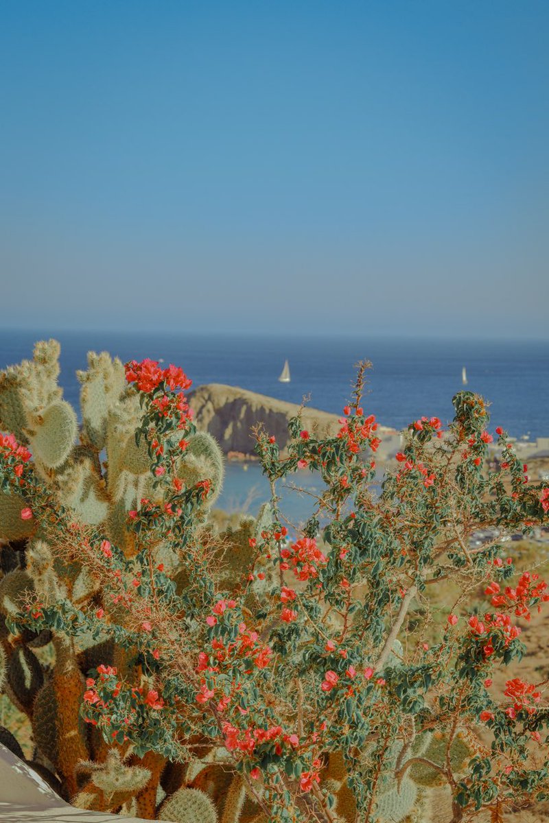 celiamontes14's tweet photo. Hola agosto 💙 #cabodegata #almeria #fotografia #sony #colores #costadealmeria https://t.co/2fYJU39cng