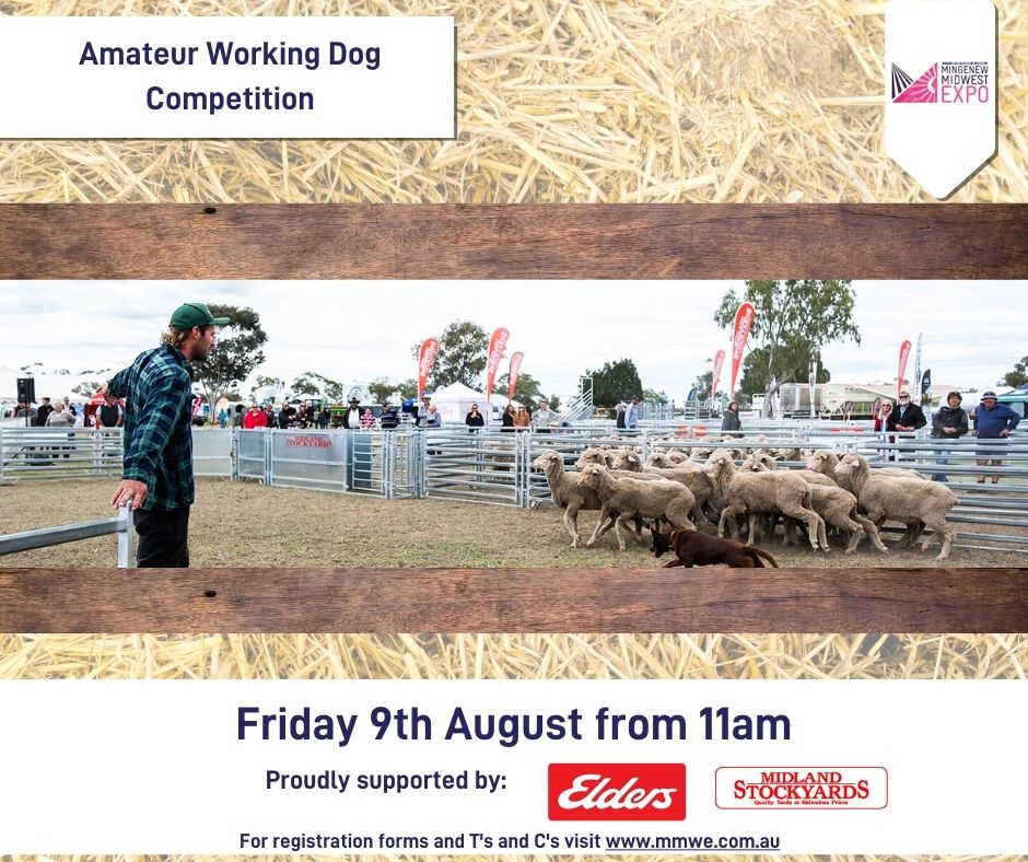Yet another crowd favourite of ours, the amateur working dog competition will be on Friday 9th August from 11am.
Enter your pup and let the sheep be the judges of who's the real "woof" of the pack. 📷📷
Head to mmwe.com.au for a registration form.