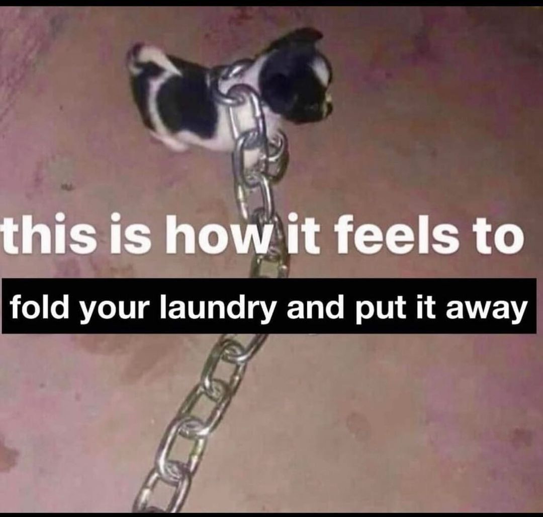 🕐HOURLY🕑 shitpost (@hourly_shitpost) on Twitter photo 