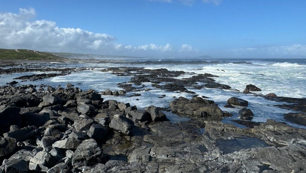 SpringfonteinE's tweet image. 📸 Explore the diverse locations of Springfontein Estate, including Pebble Bay! Learn about the ancient sea traps that used natural rock formations to catch fish sustainably in our blog: l8r.it/2zjm #SpringfonteinEstate #PebbleBay #FilmingLocation #AncientHistory