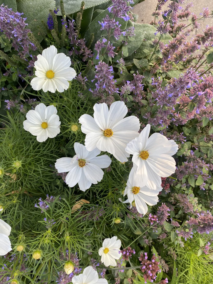HandnoteStatiou's tweet photo. ℎ𝑒𝑙𝑙𝑜 𝑎𝑢𝑔𝑢𝑠𝑡
— 𝑤𝑖𝑠ℎ 𝑦𝑜𝑢 ℎ𝑎𝑣𝑒 𝑎 𝑛𝑖𝑐𝑒 𝑚𝑜𝑛𝑡ℎ :) https://t.co/Dyb36DRfDb