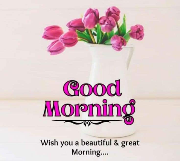 Brigitte ☀️ tweet media