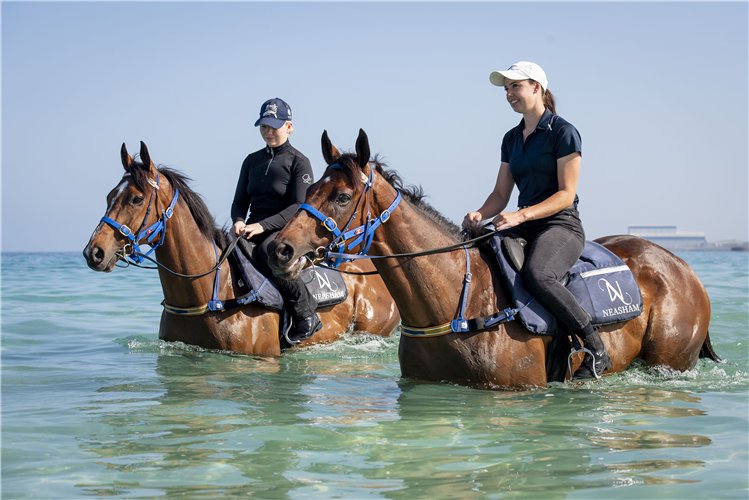 Racing and Sports tweet media