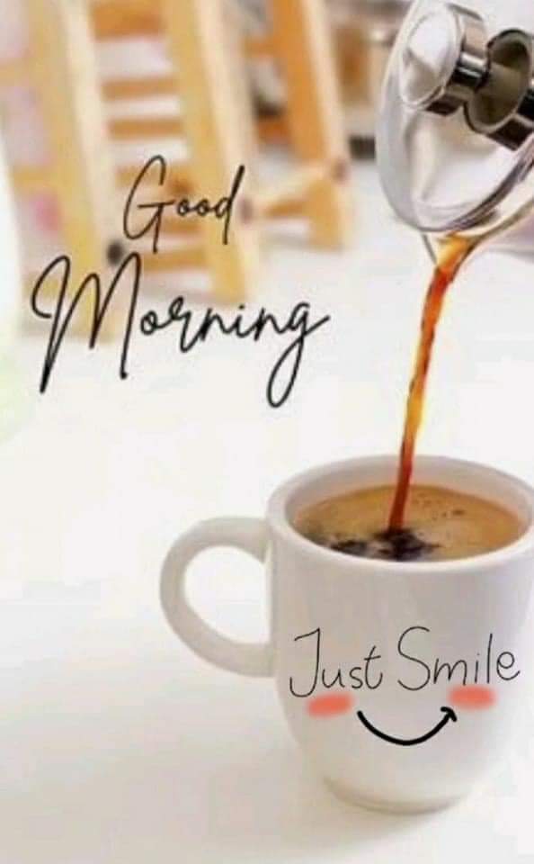 Brigitte ☀️ tweet media