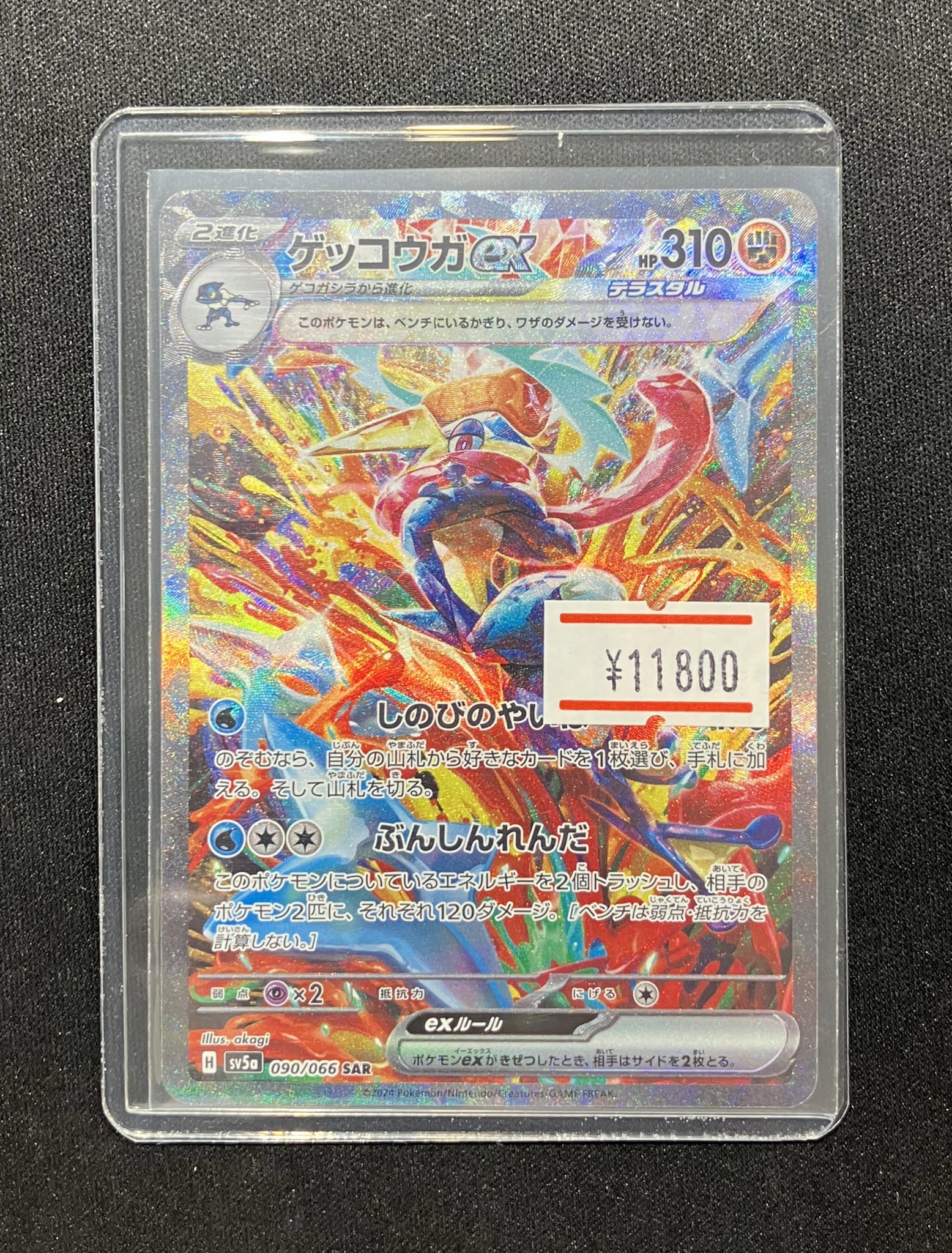 ポケモン - ポケモンカードe かまぼこ Amazon.co.jp: ポケモンカードゲームSV sv5K 拡張パック