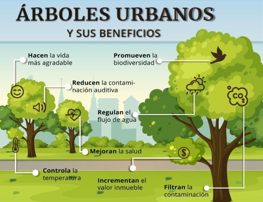 Es alucinante leer a los que discuten el hecho, incontestable, de que una #ciudad arbolada, con buen criterio, es una ciudad más habitable, una ciudad que brinda a sus ciudadanos un ambiente más confortable (sobre todo en #verano) y saludable. Hay gente pa tó 🤦🏻‍♂️... 👇🧵