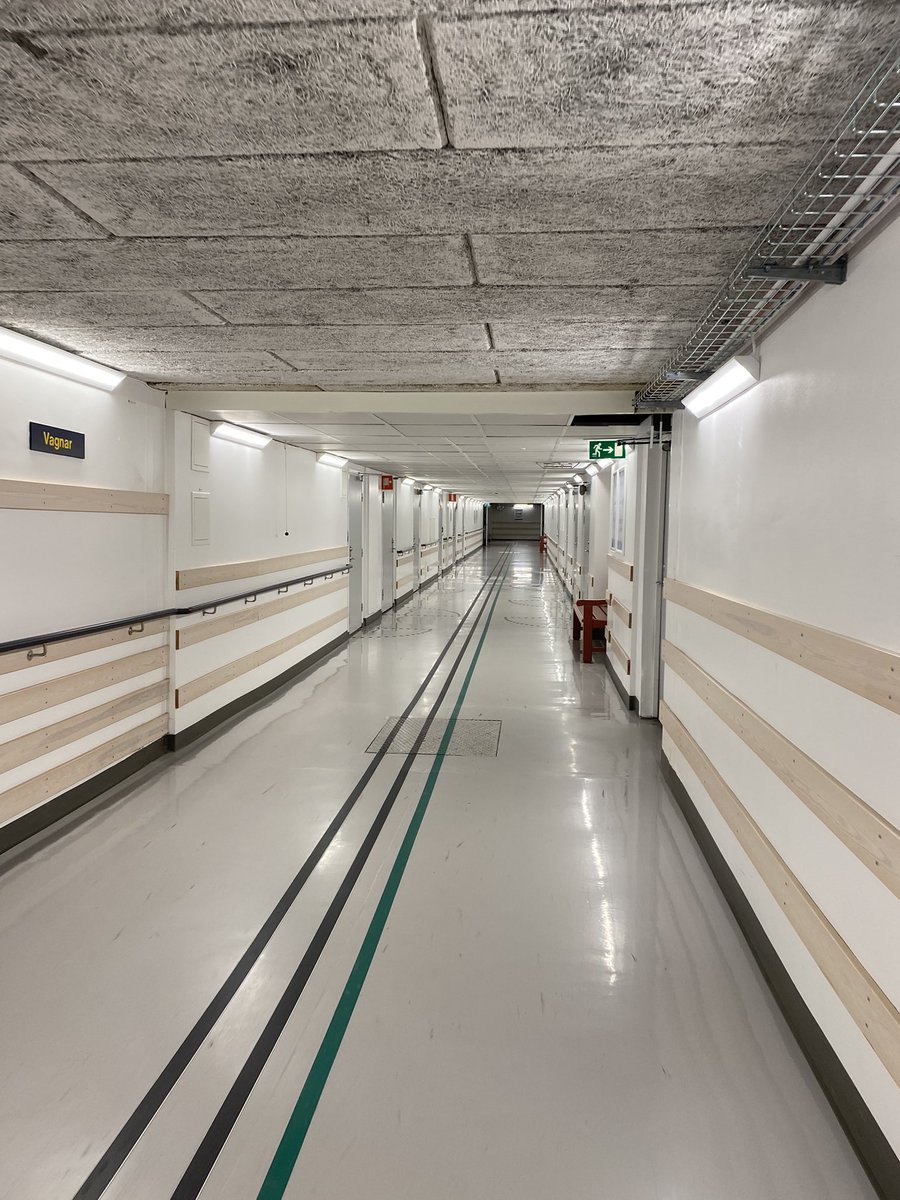 kira but alt tweet media