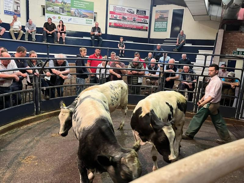 York Auction Centre tweet media
